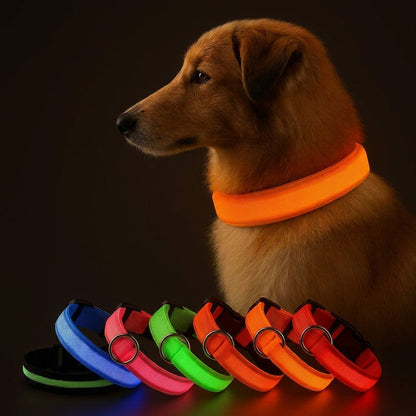 Rechargeable LED Glow Dog Collar