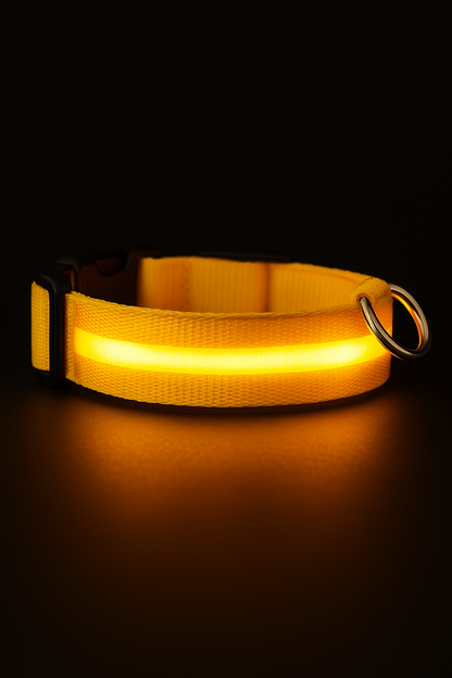 Rechargeable LED Glow Dog Collar