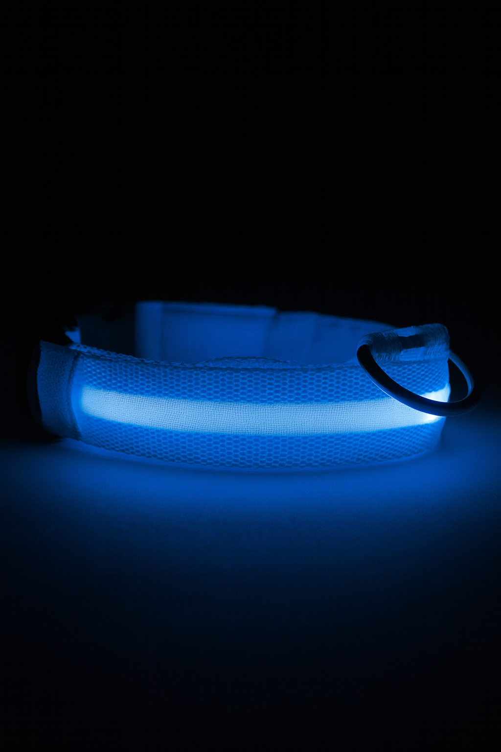 Rechargeable LED Glow Dog Collar