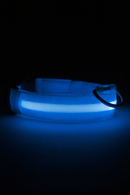 Rechargeable LED Glow Dog Collar