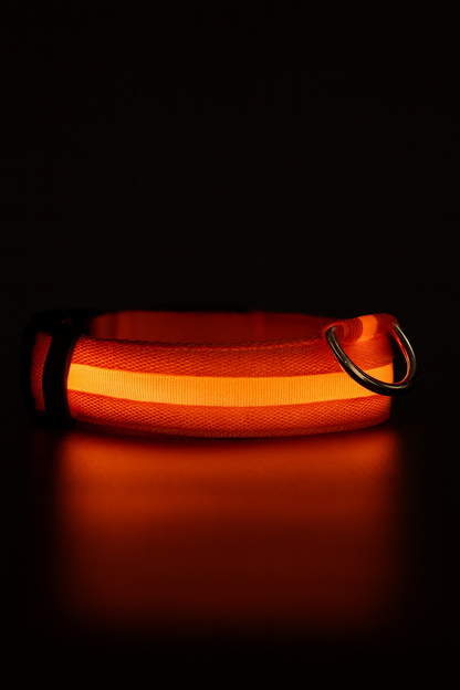Rechargeable LED Glow Dog Collar