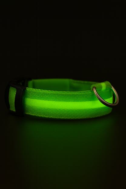 Rechargeable LED Glow Dog Collar
