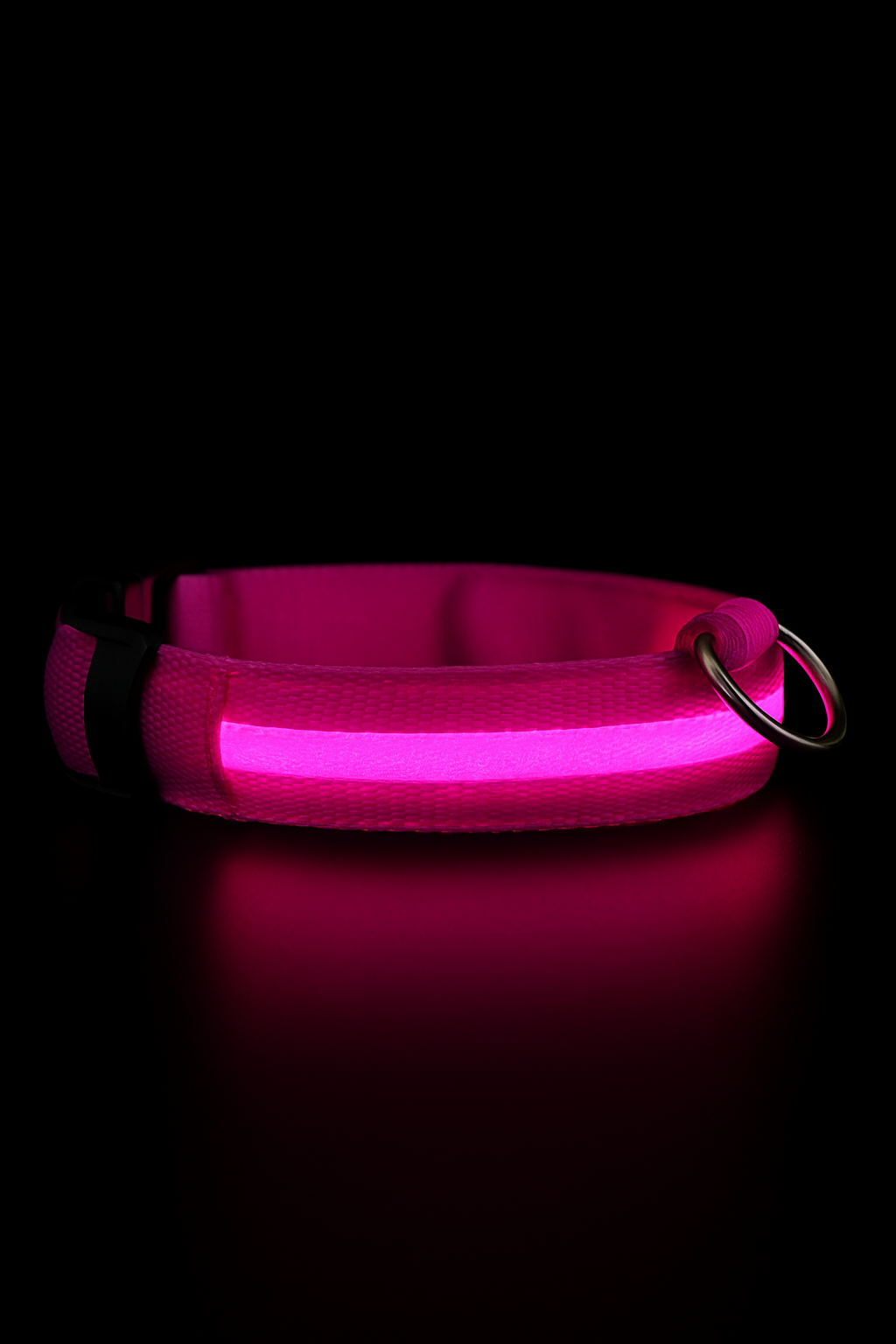 Rechargeable LED Glow Dog Collar