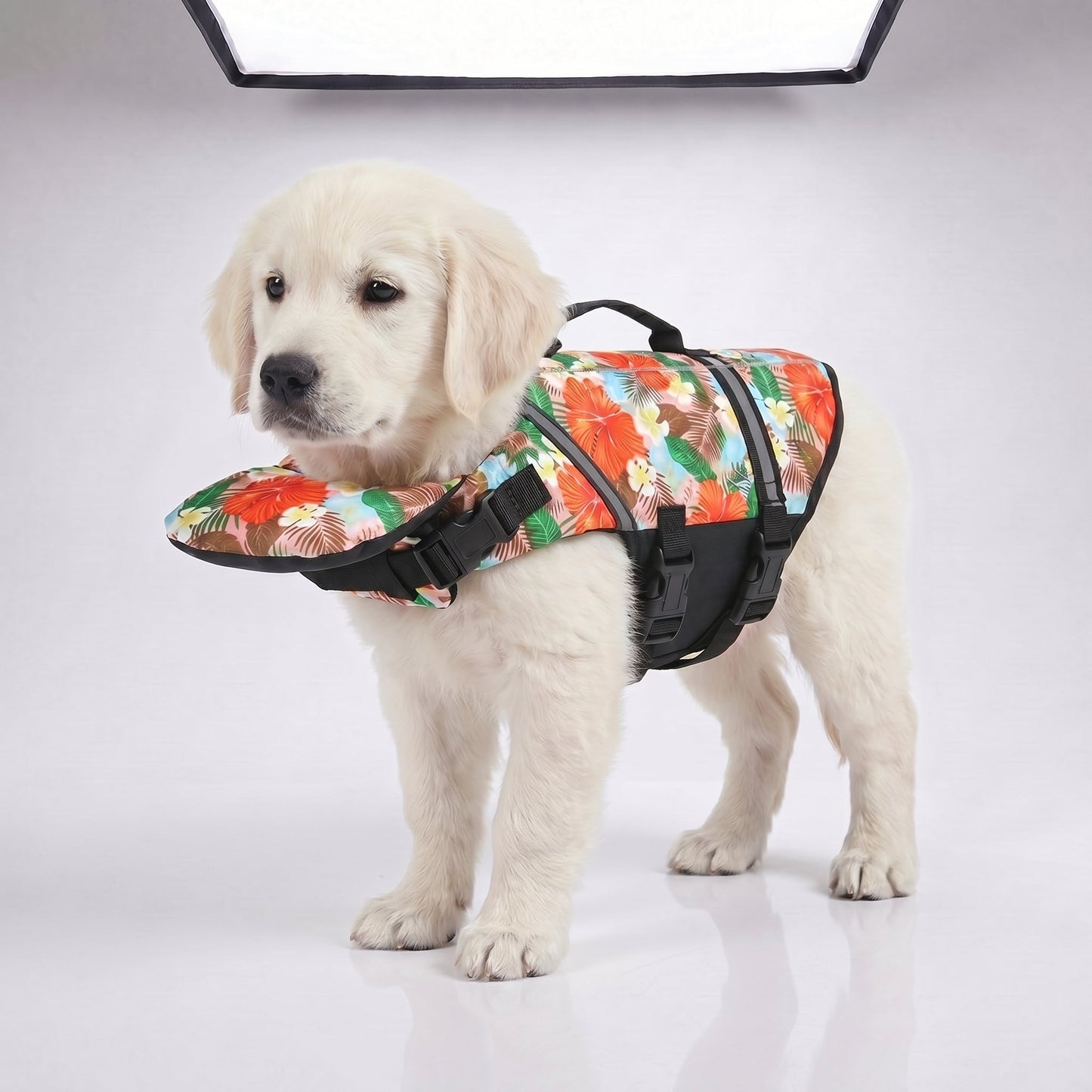 Dog Life Jacket with Padded Chin Float - main-16