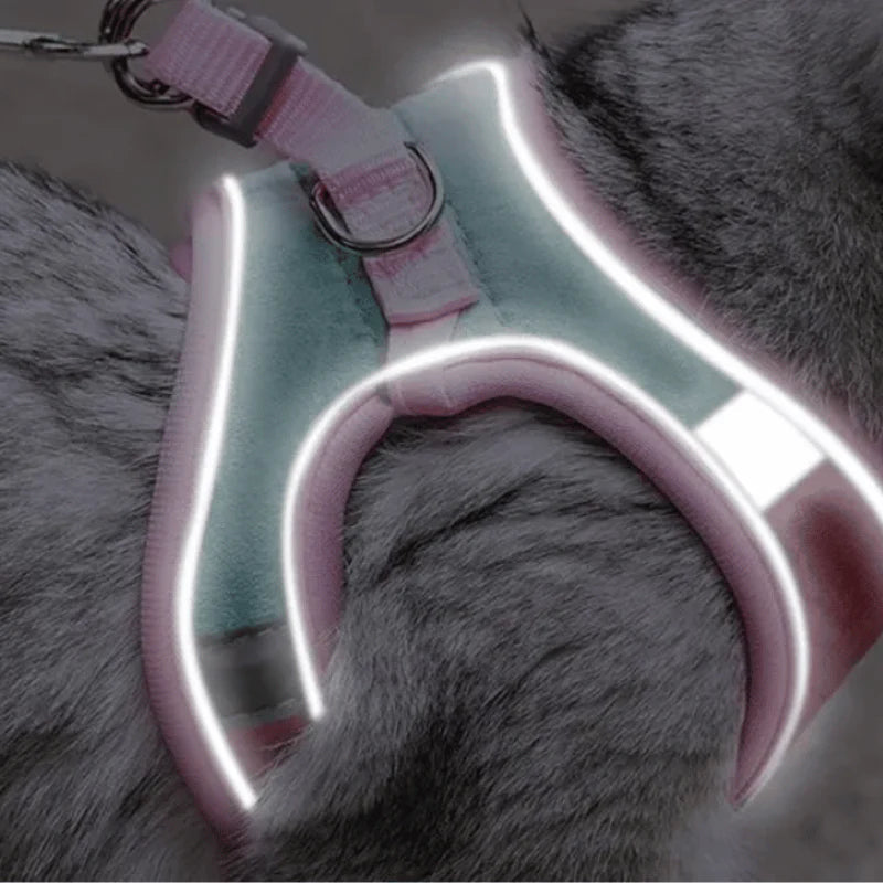 Cat harness product image 4