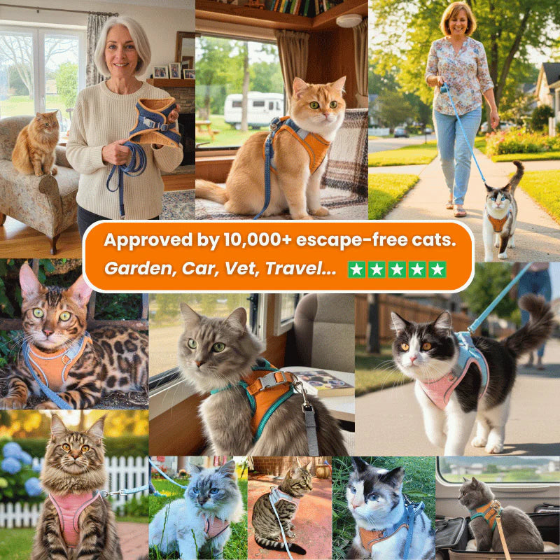 Cat harness product image 5