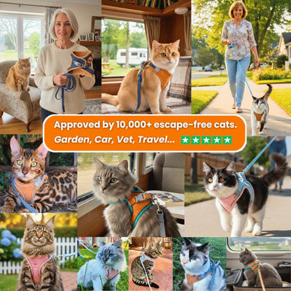 Cat harness product image 5