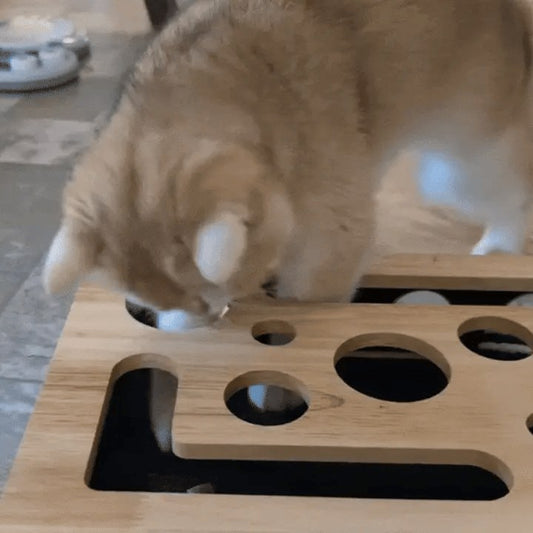 Cat Nail Filing Scratch Box with Treat Puzzle