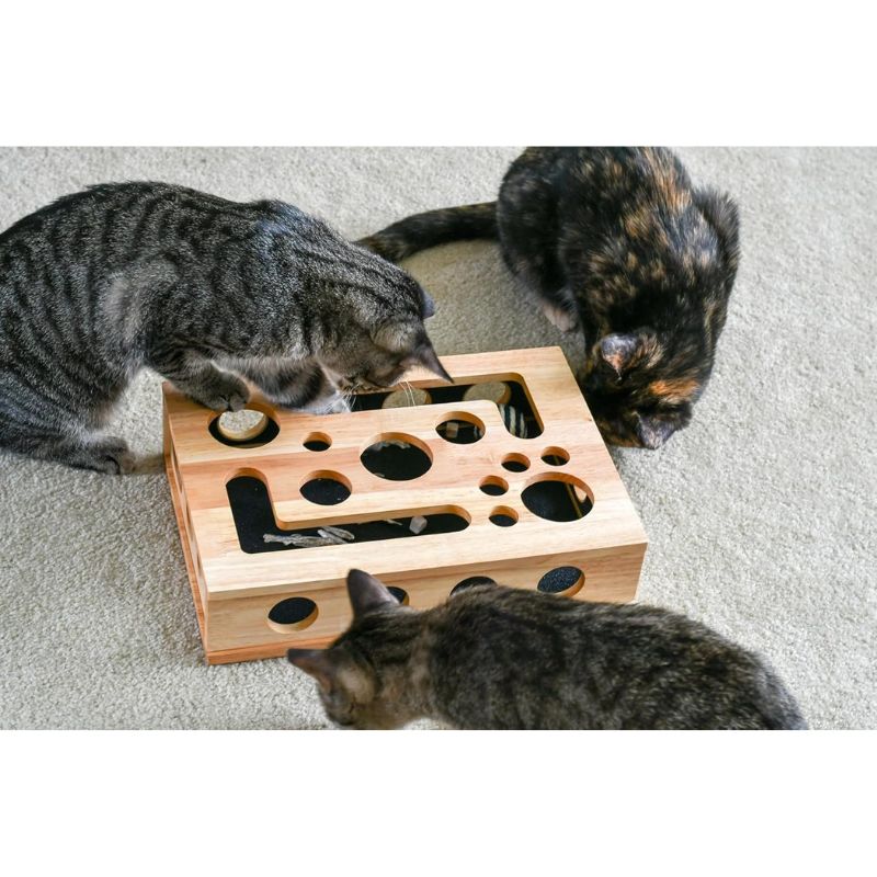 Cat Nail Filing Scratch Box with Treat Puzzle