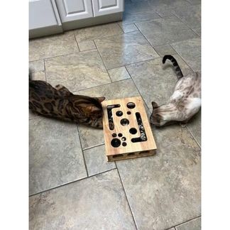 Cat Nail Filing Scratch Box with Treat Puzzle