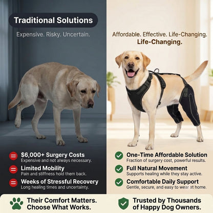 Dual-leg hinged knee brace harness for dogs
