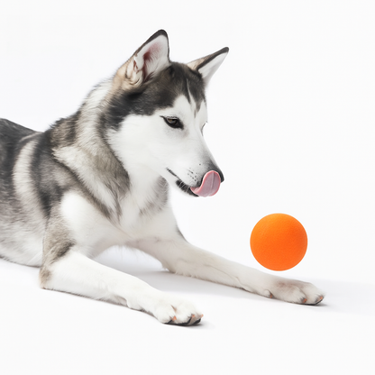 Motion-activated bouncing dog ball view 12