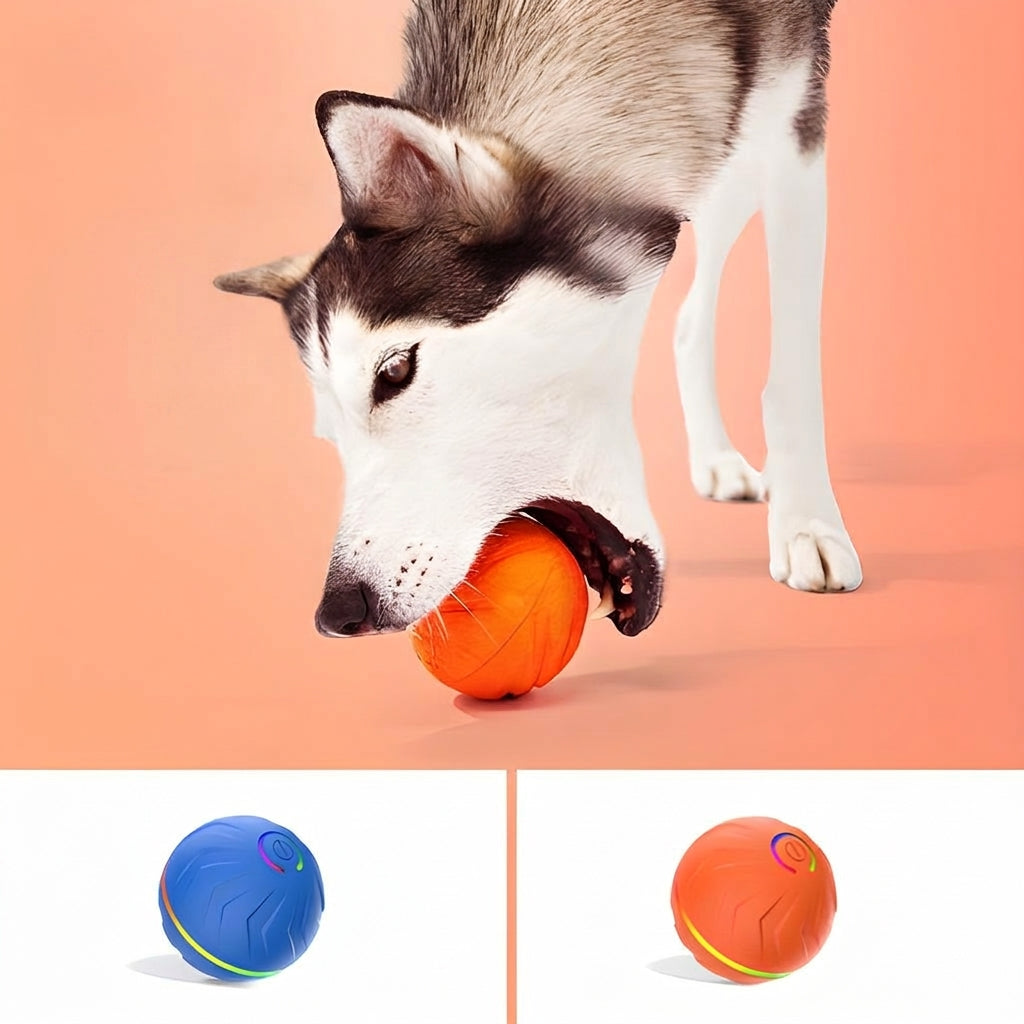 Motion-activated bouncing dog ball view 2