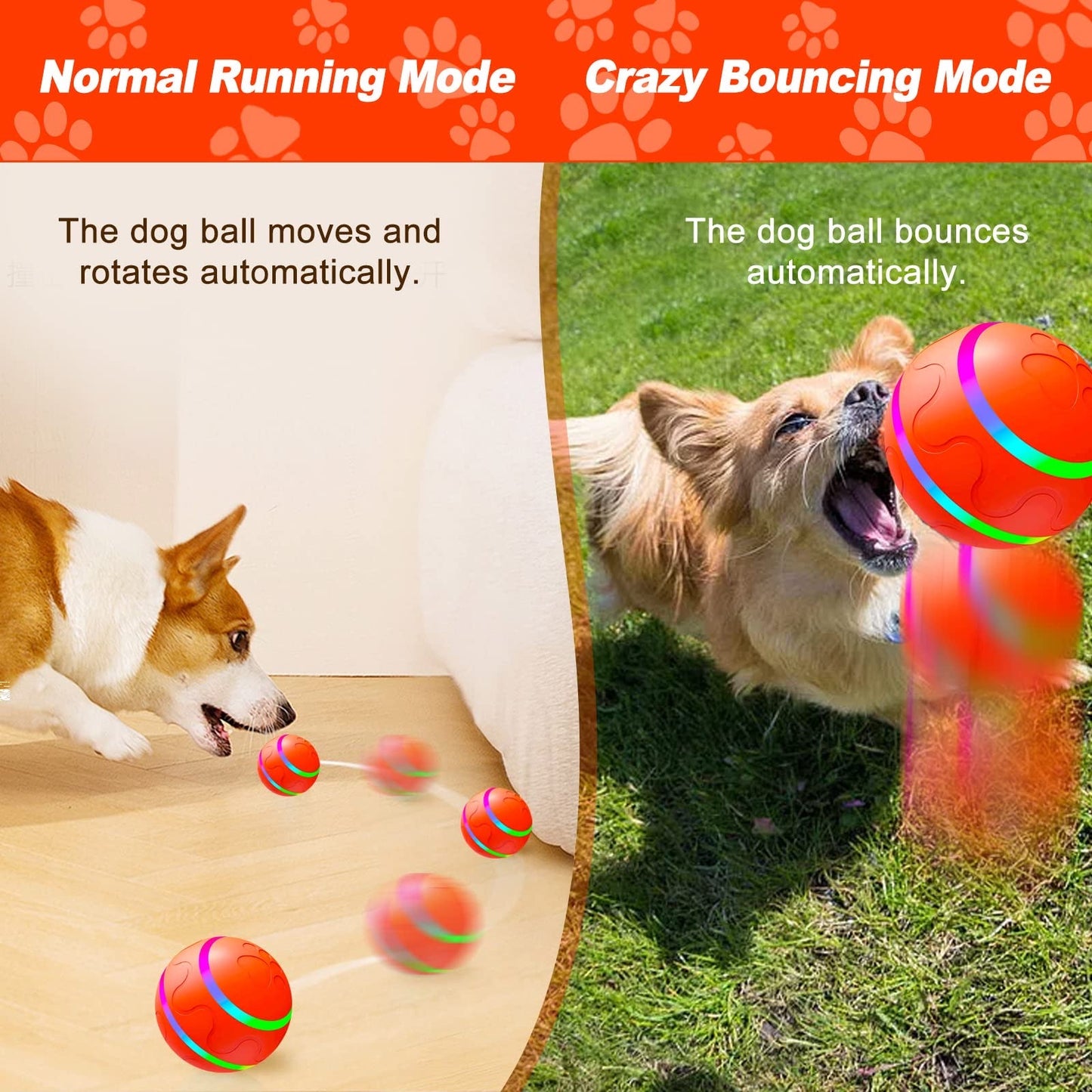 Motion-activated bouncing dog ball view 8