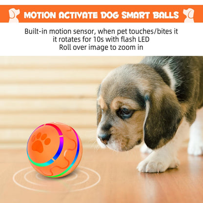 Motion-activated bouncing dog ball view 9