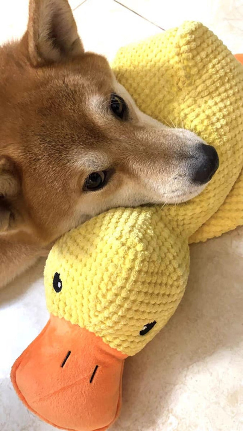 Durable Squeaky Duck Plush Toy for Dogs - image 11