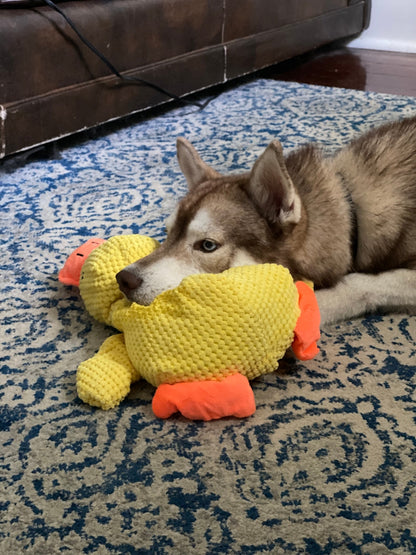 Durable Squeaky Duck Plush Toy for Dogs - image 14