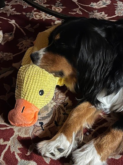 Durable Squeaky Duck Plush Toy for Dogs - image 15