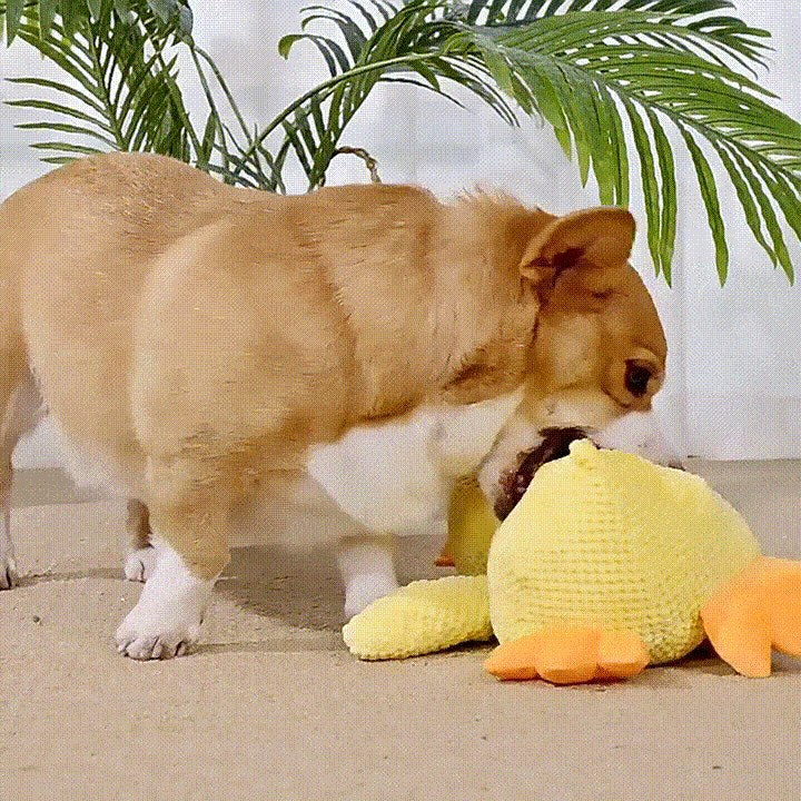 Durable Squeaky Duck Plush Toy for Dogs - image 16