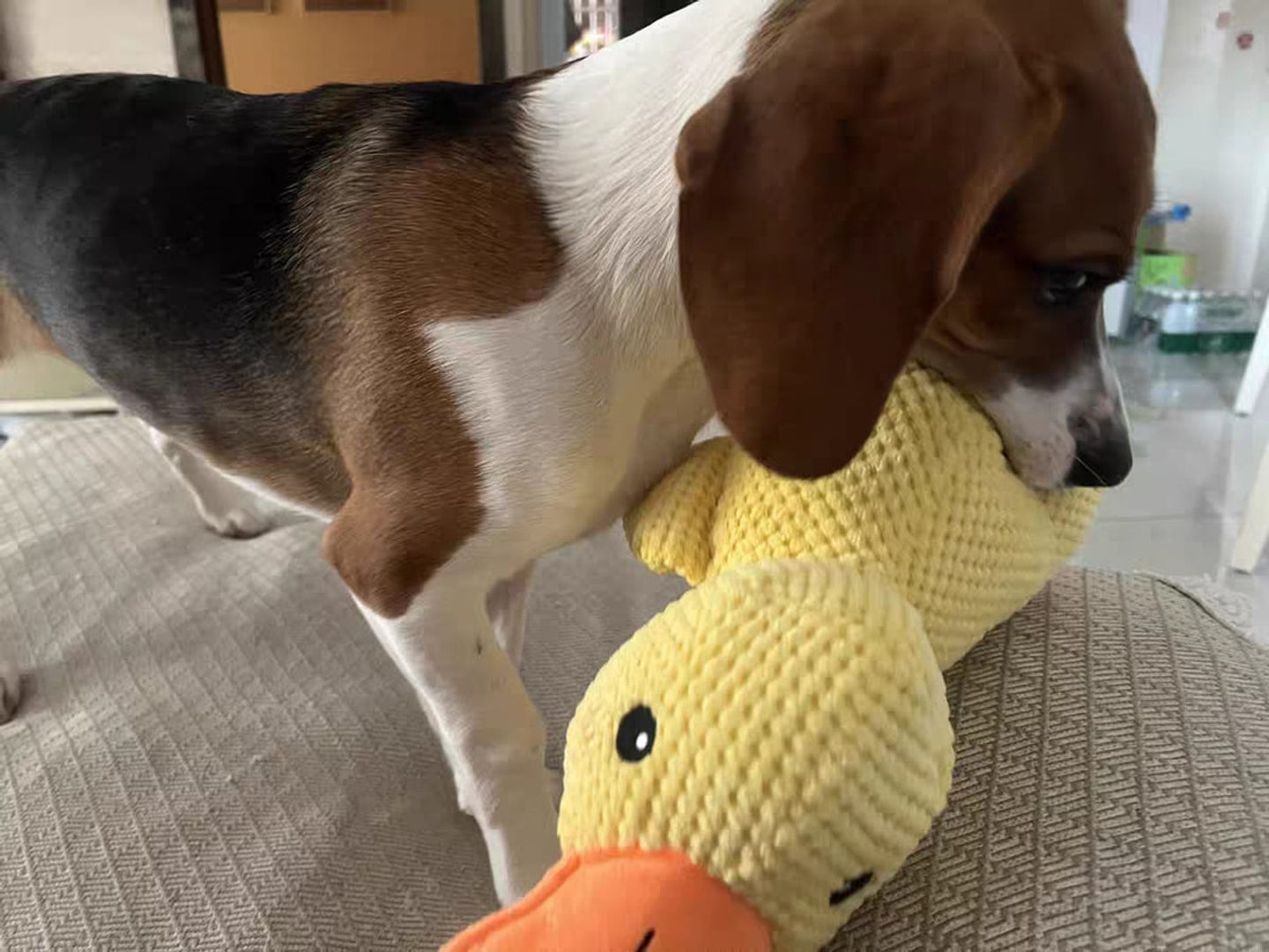 Durable Squeaky Duck Plush Toy for Dogs - image 7