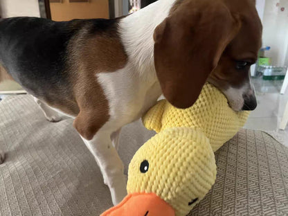 Durable Squeaky Duck Plush Toy for Dogs - image 7