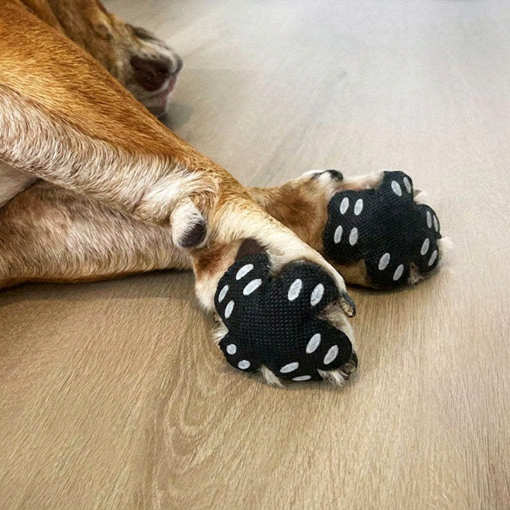 Dog Paw Pad Protectors