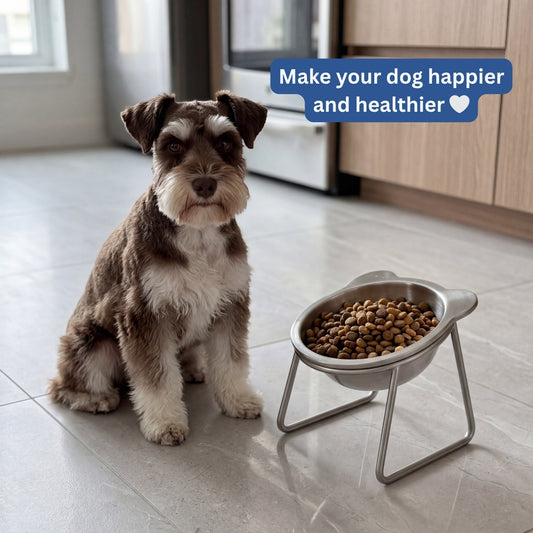 Elevated Orthopedic Dog Feeding Bowl with Stand