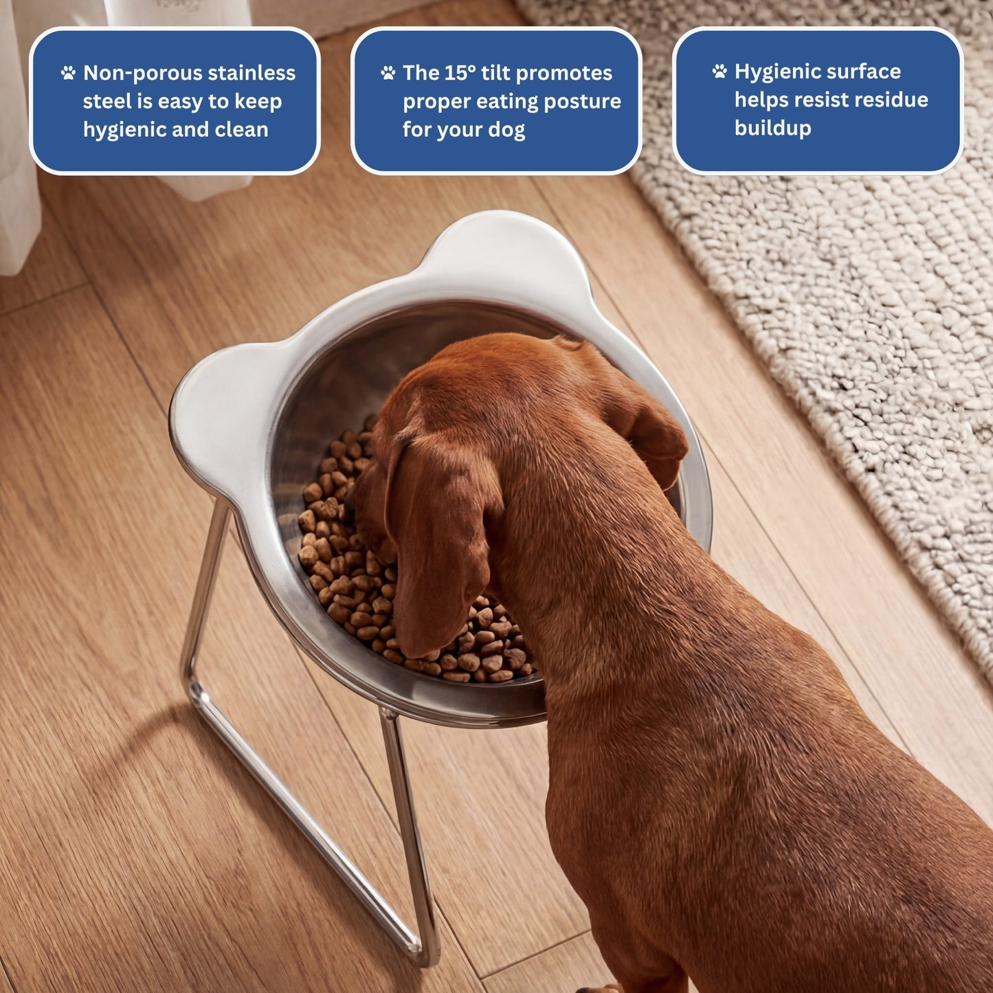 Elevated Orthopedic Dog Feeding Bowl with Stand