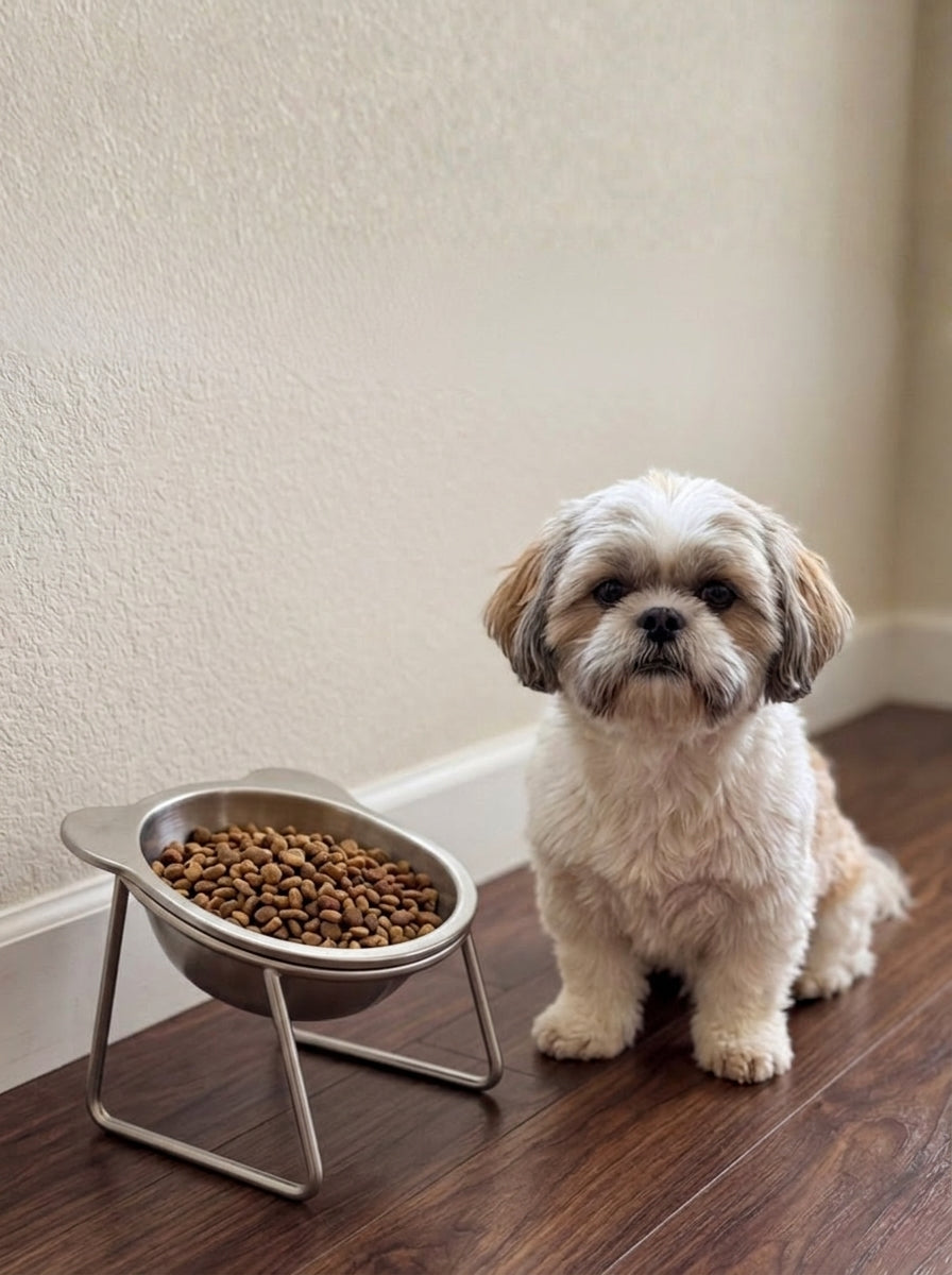 Elevated Orthopedic Dog Feeding Bowl with Stand