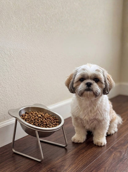 Elevated Orthopedic Dog Feeding Bowl with Stand