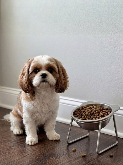 Elevated Orthopedic Dog Feeding Bowl with Stand