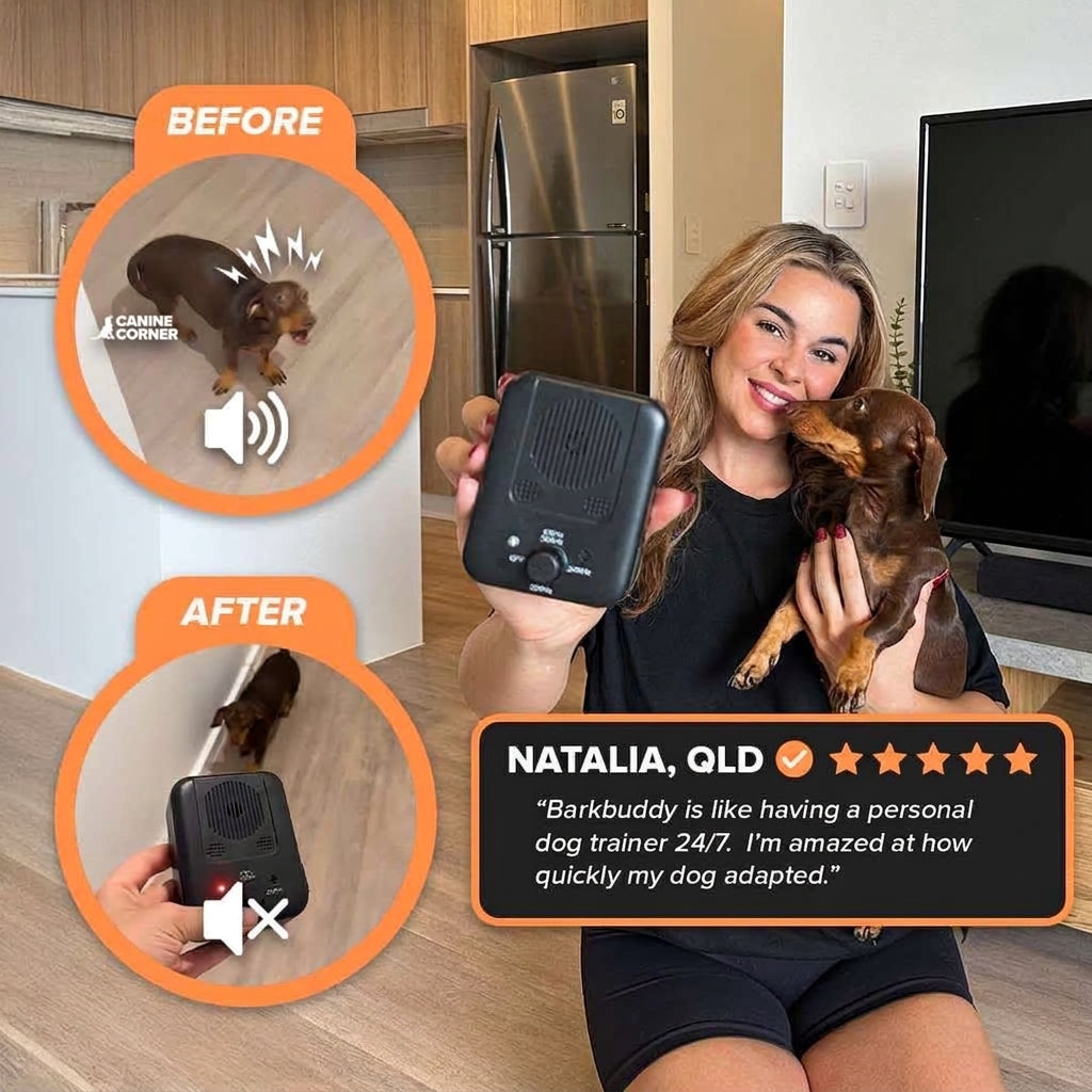 Ultrasonic anti-bark device for dogs - photo 5