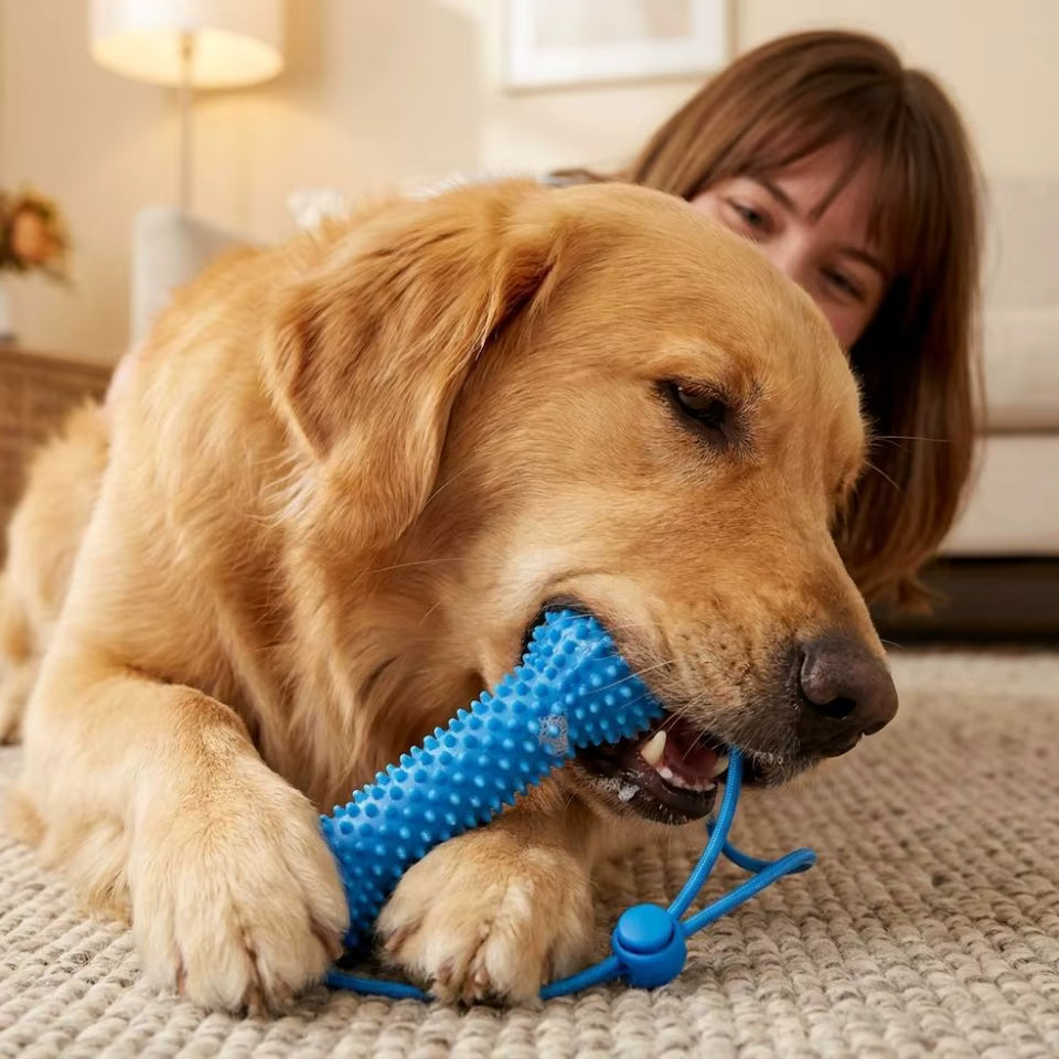 Dog dental chew toy with brushing strap - view 2