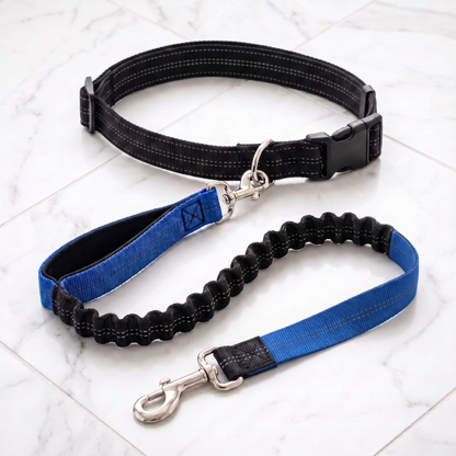 Hands-Free Bungee Dog Leash