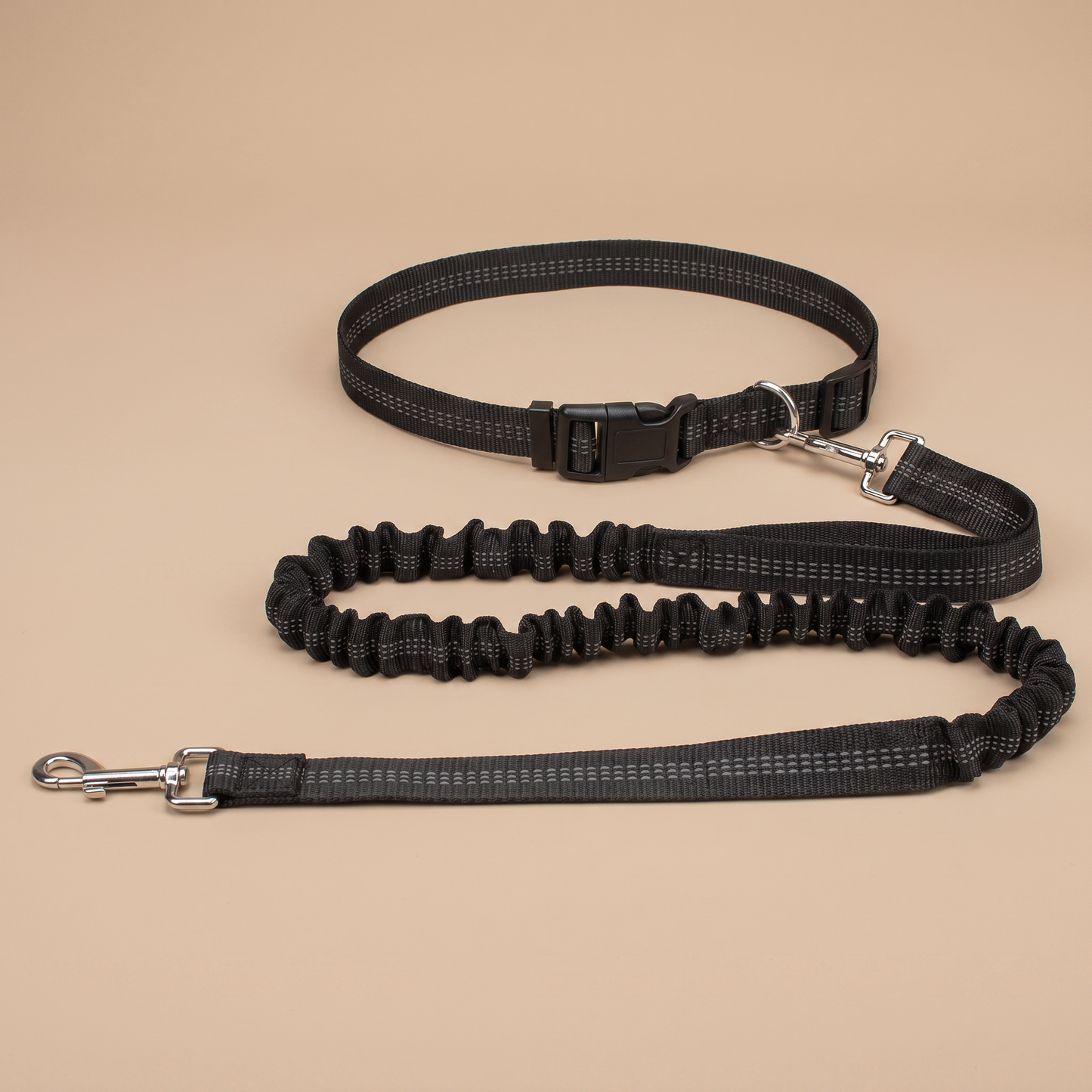 Hands-Free Bungee Dog Leash