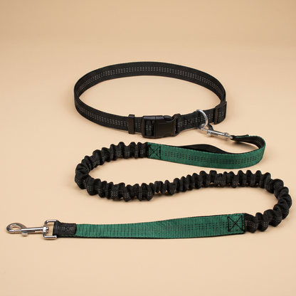 Hands-Free Bungee Dog Leash