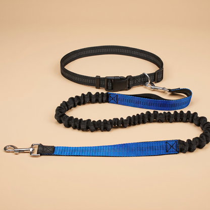 Hands-Free Bungee Dog Leash