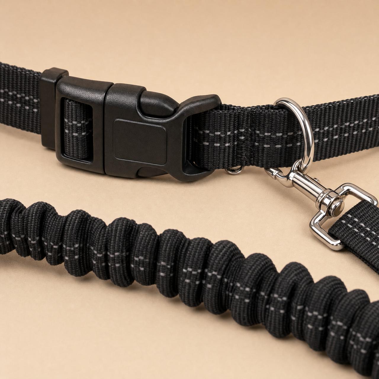 Hands-Free Bungee Dog Leash