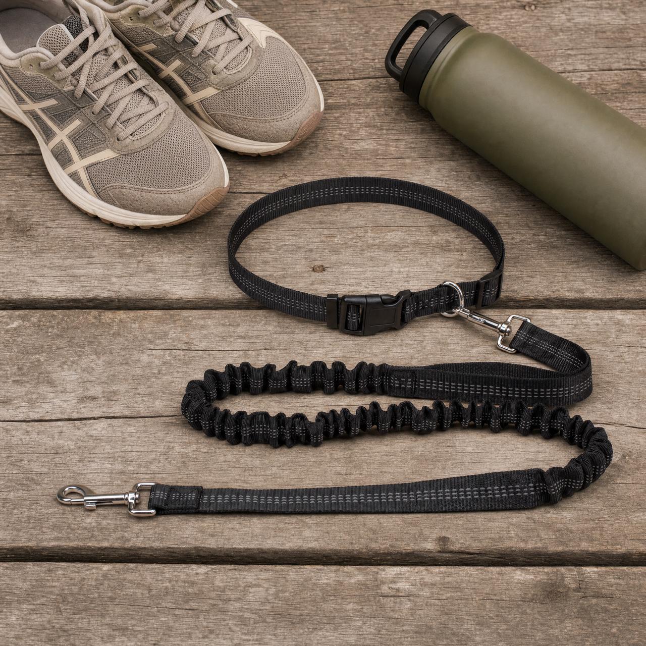 Hands-Free Bungee Dog Leash
