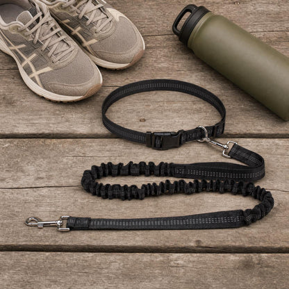 Hands-Free Bungee Dog Leash