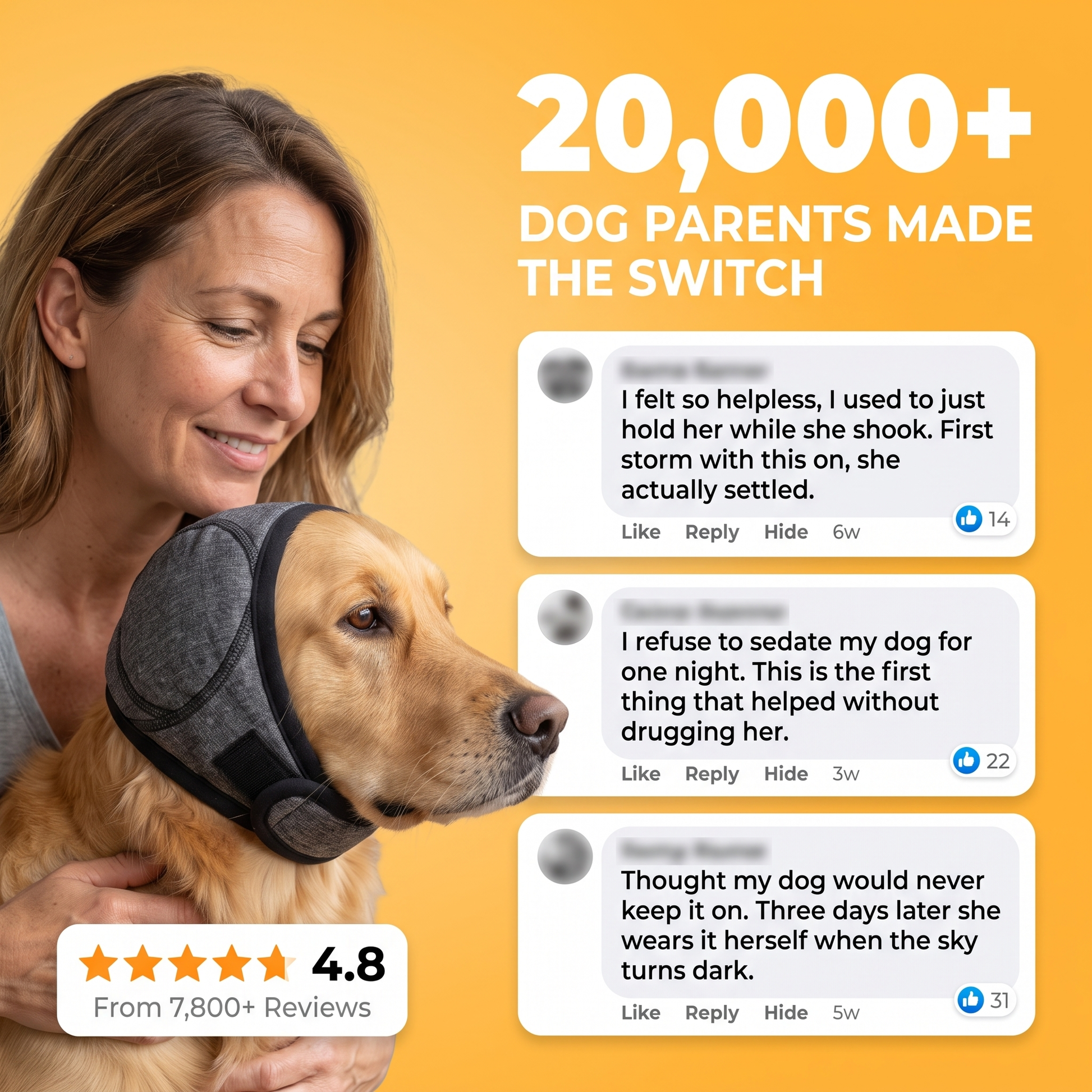 Dog noise-muffling ear hood - image 6