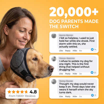 Dog noise-muffling ear hood - image 6