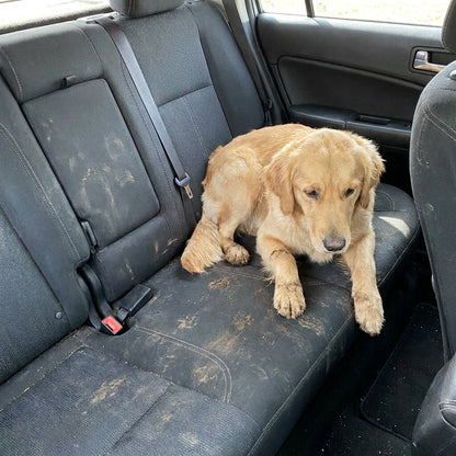4-in-1 dog car seat cushion