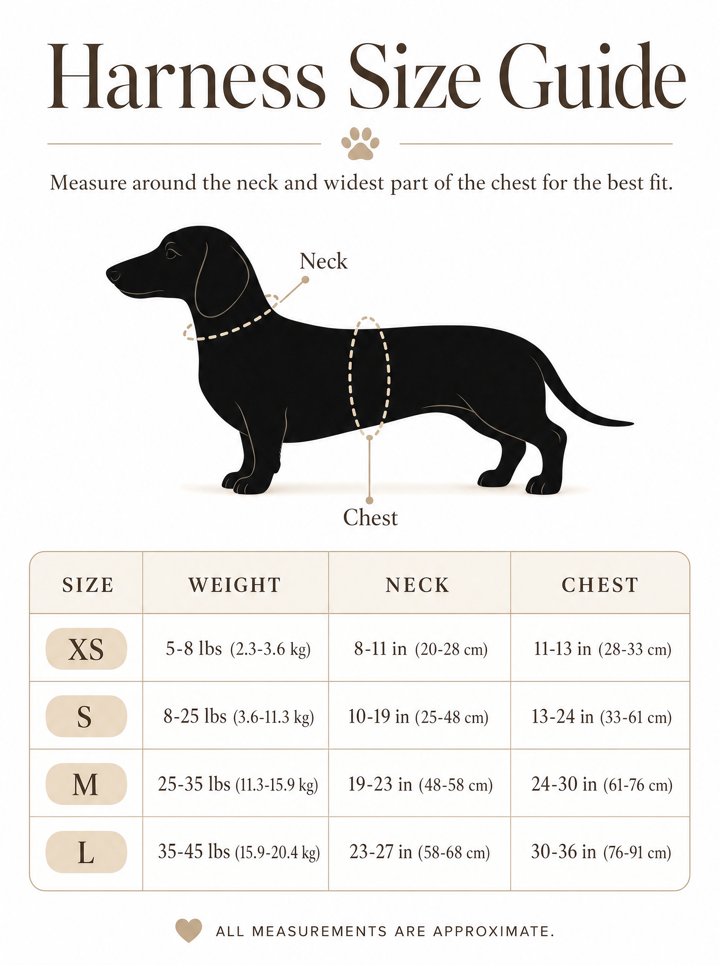 Spine-Safe No-Pull Dachshund Harness - main-5