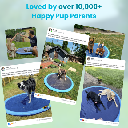 Dog Splash Pad with Adjustable Sprinkler - Photo 3