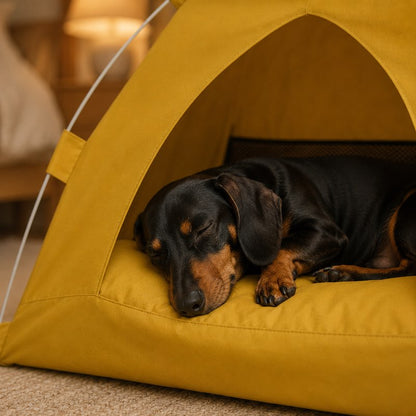 Pop-Up Dachshund Tent House 2
