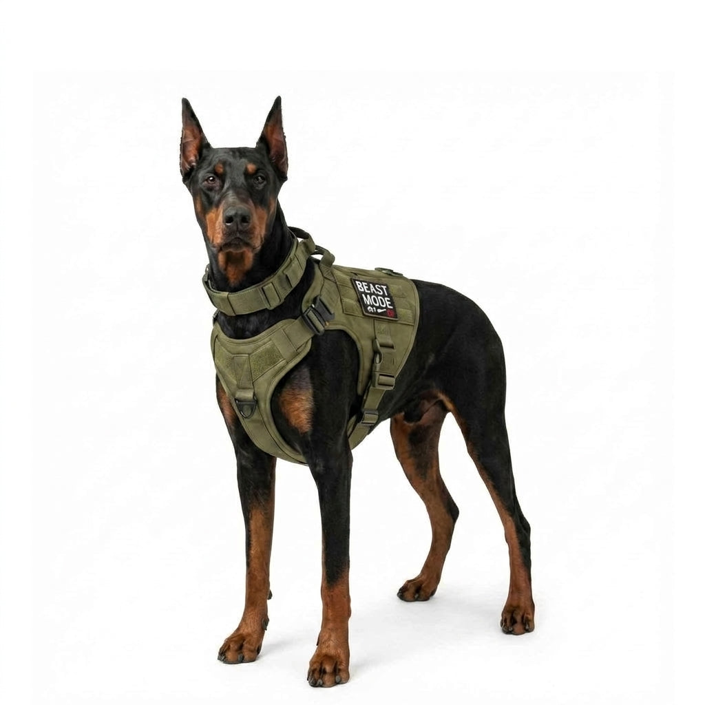 Tactical No-Pull Dog Harness