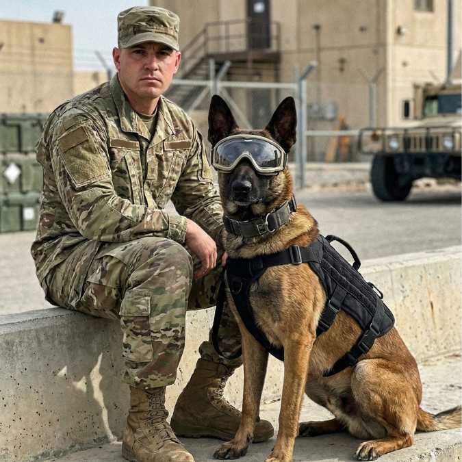 Tactical No-Pull Dog Harness