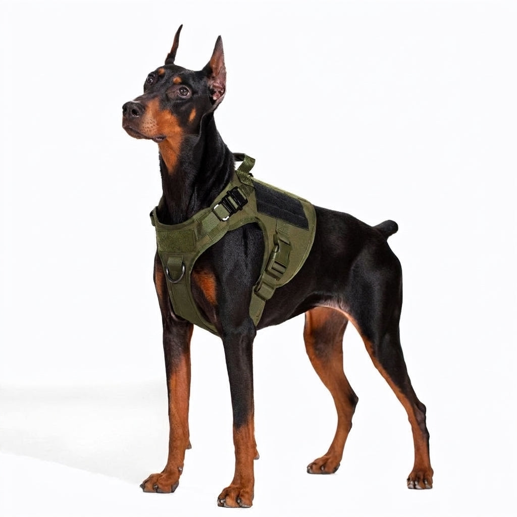 Tactical No-Pull Dog Harness