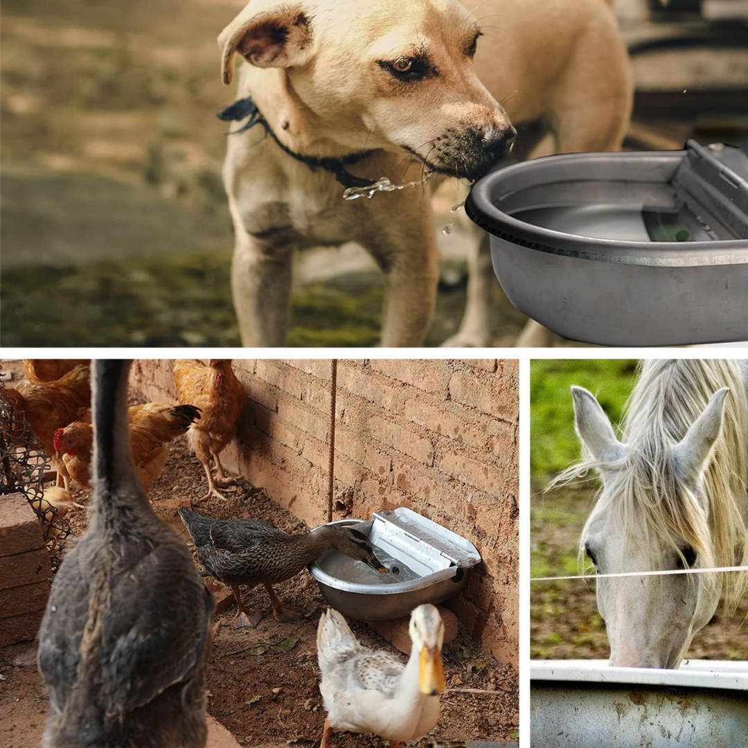 Dog and animals drinking from auto-refill stainless steel water bowl